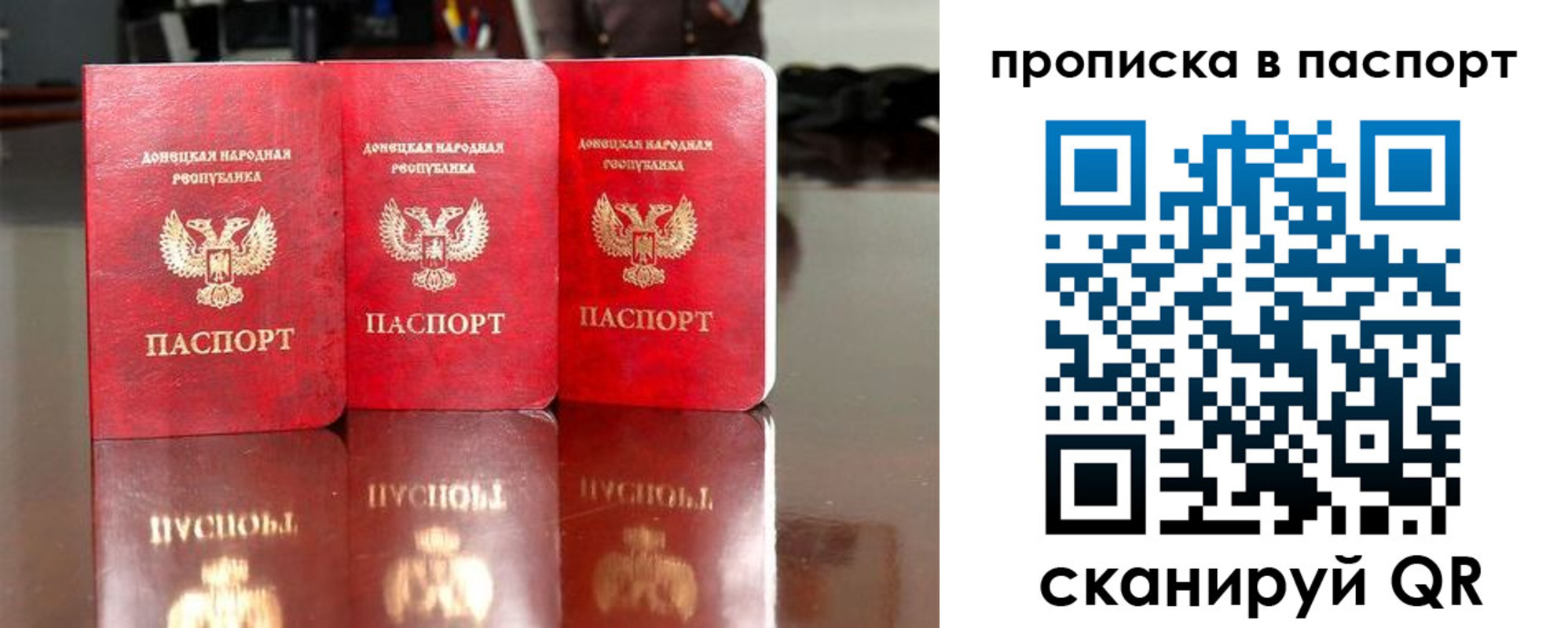 прописка поиск в Димитровграде